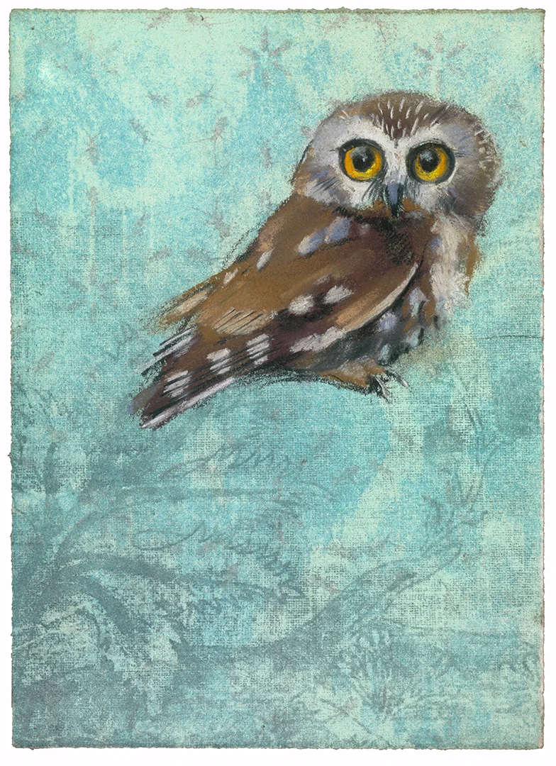 Saw Whet Owl #29