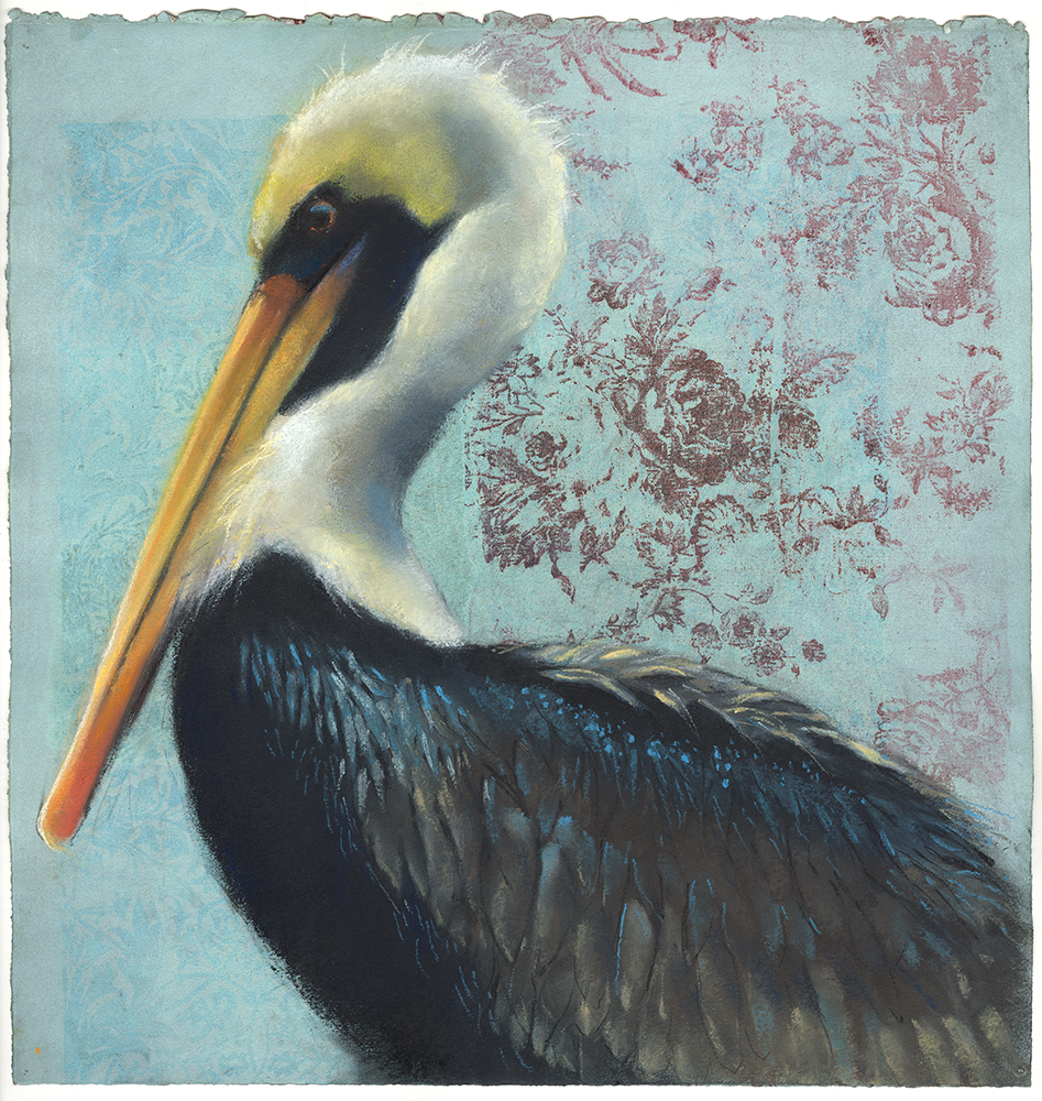 Pelican