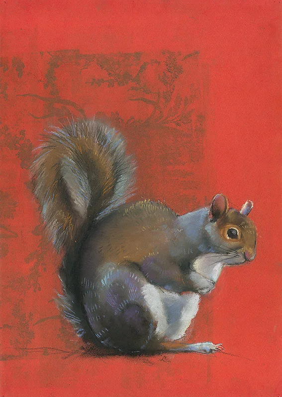 Squirrel on Red