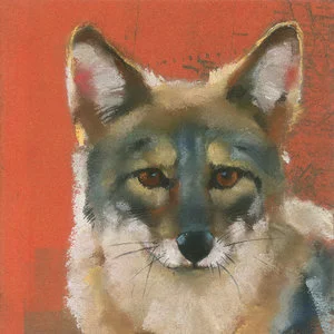 Mini-Coyote.jpg