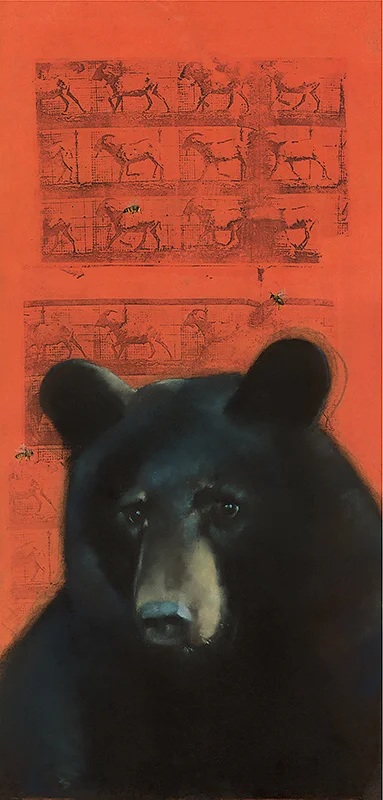 Bear on Goats