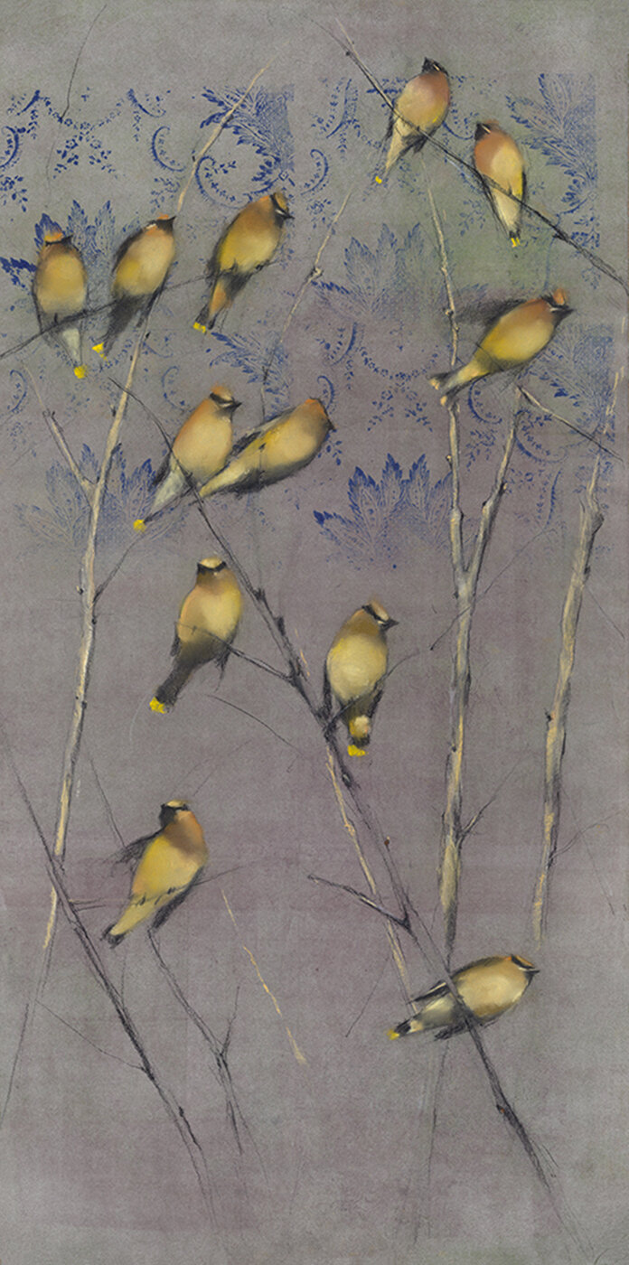 Cedar Waxwings in Trees