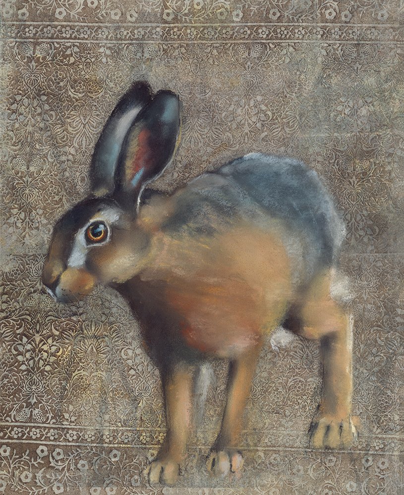 Rabbit on Brown