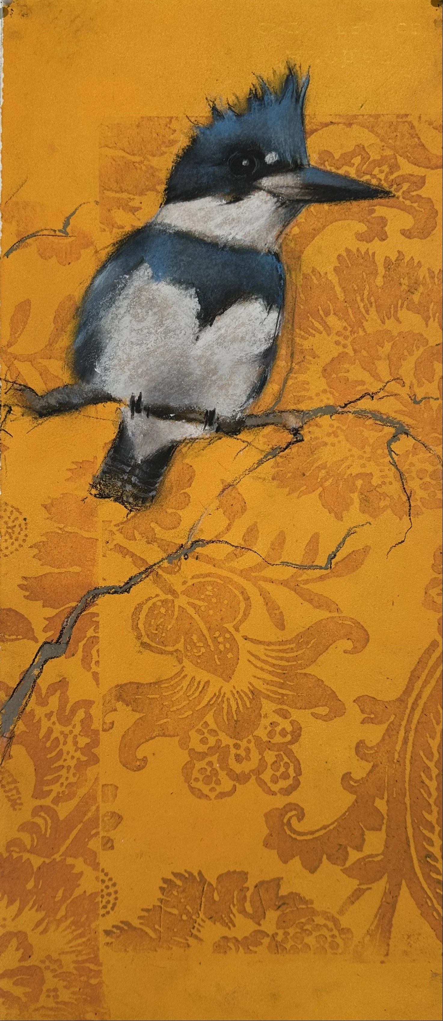 Kingfisher on Orange