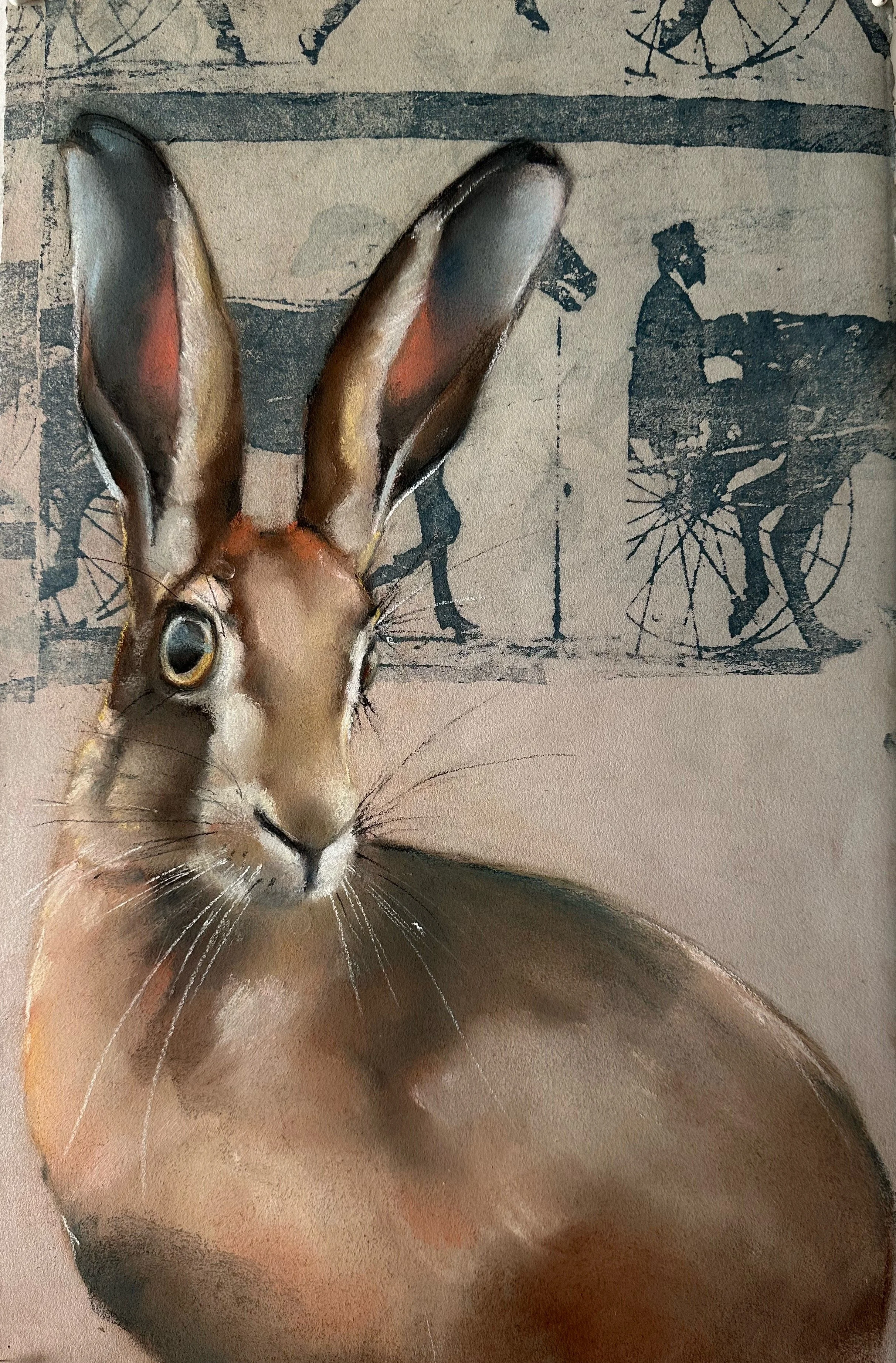 Jack rabbit on Muybridge