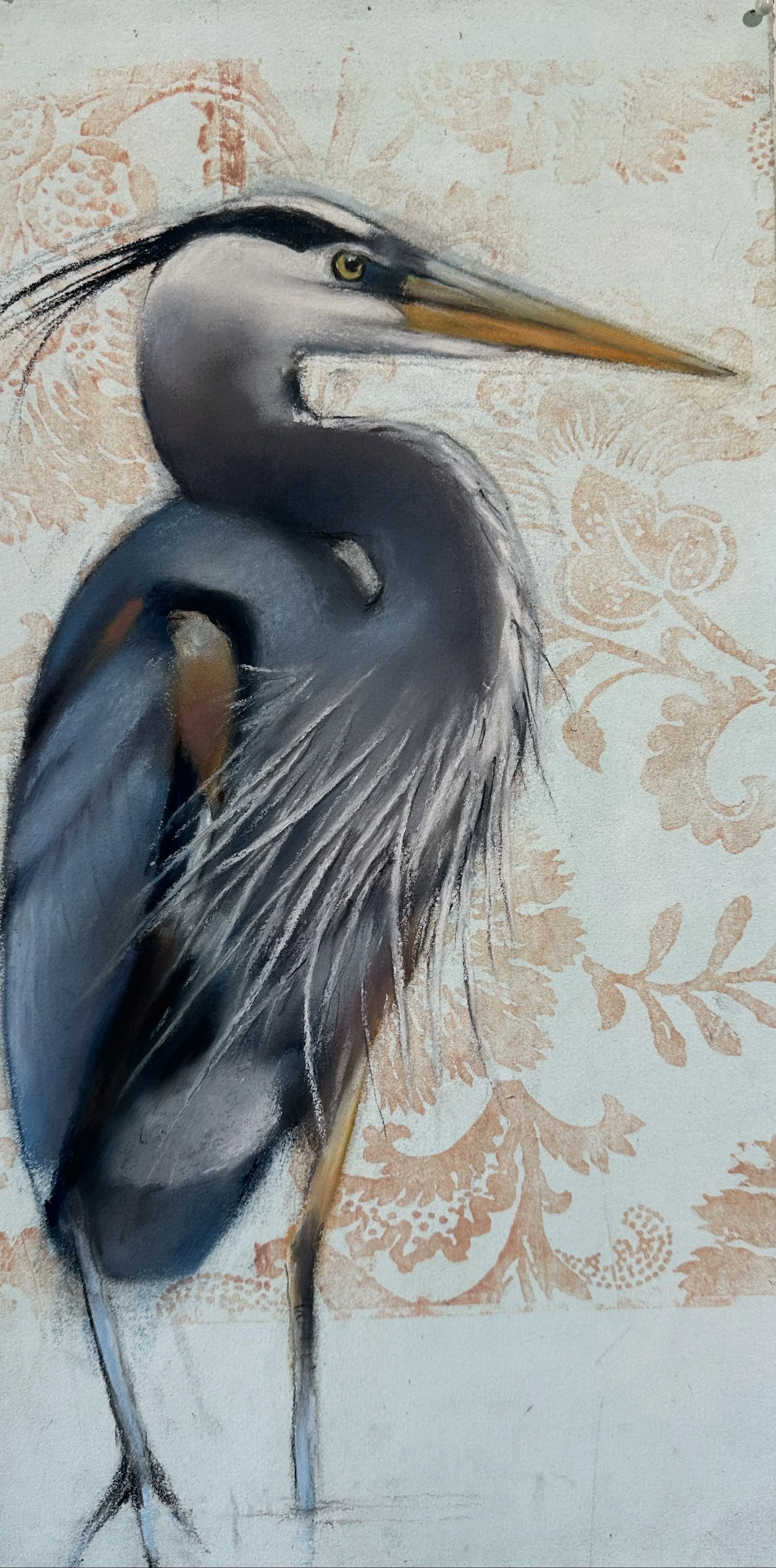 Great Blue Heron, PT Reyes