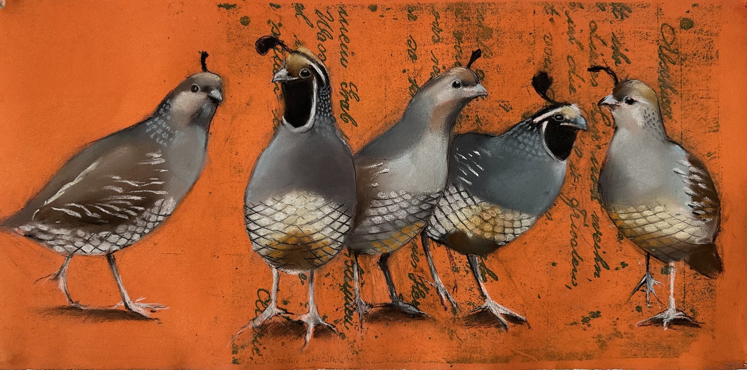 Quail on orange