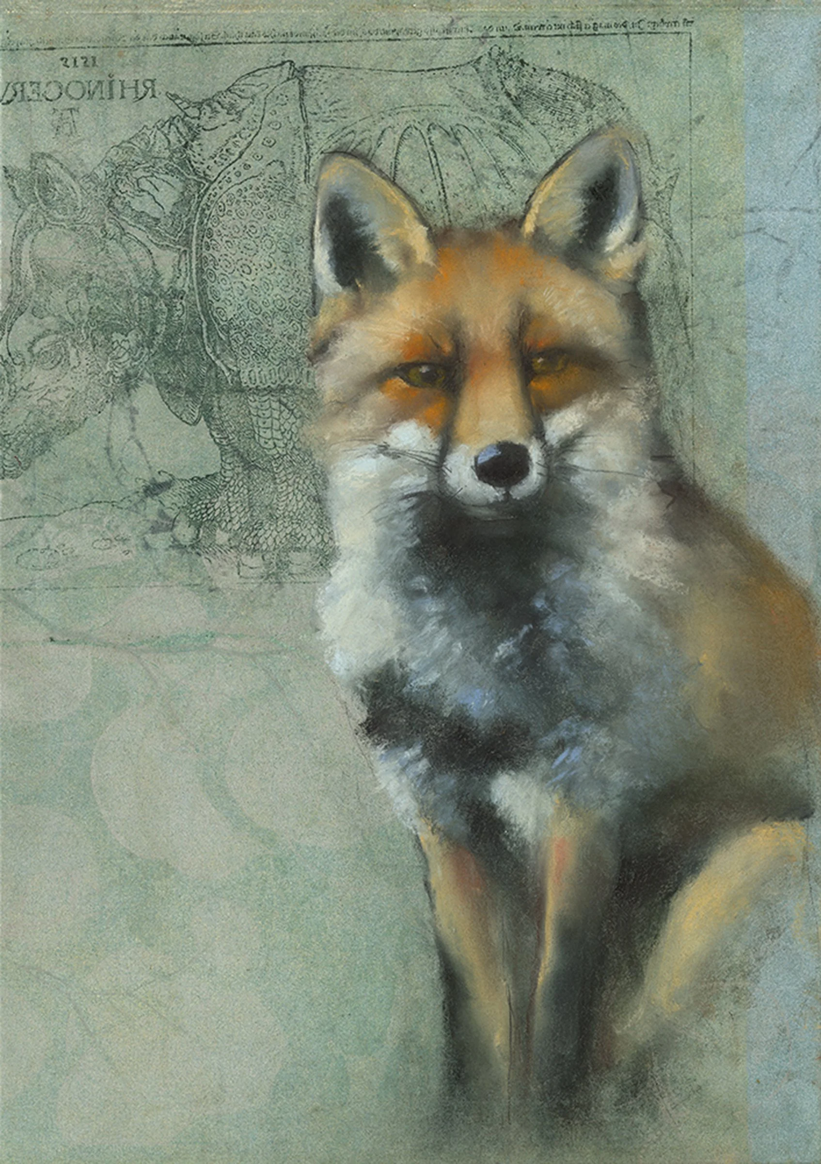 Fox on Rhino