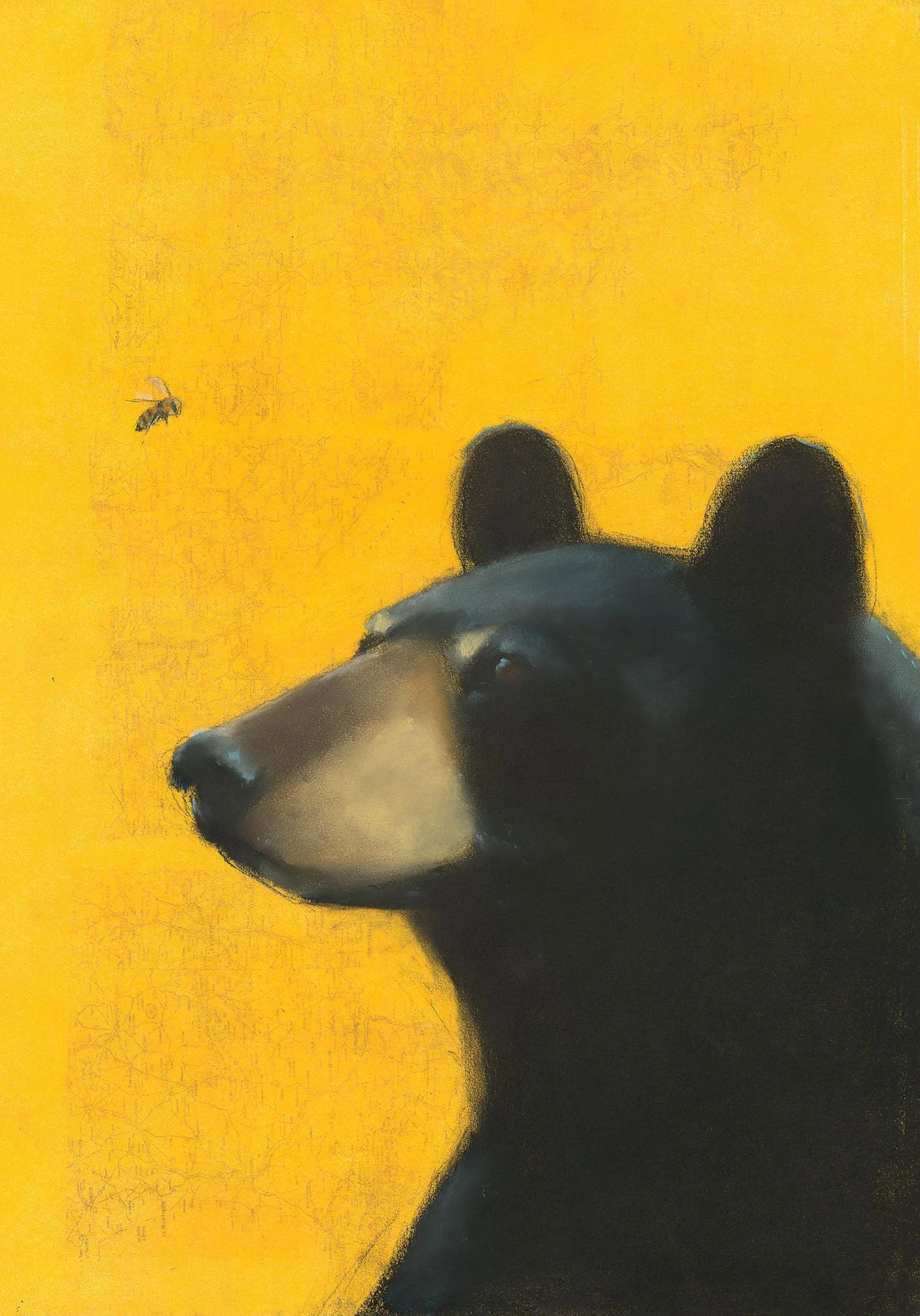 Bear and Bee