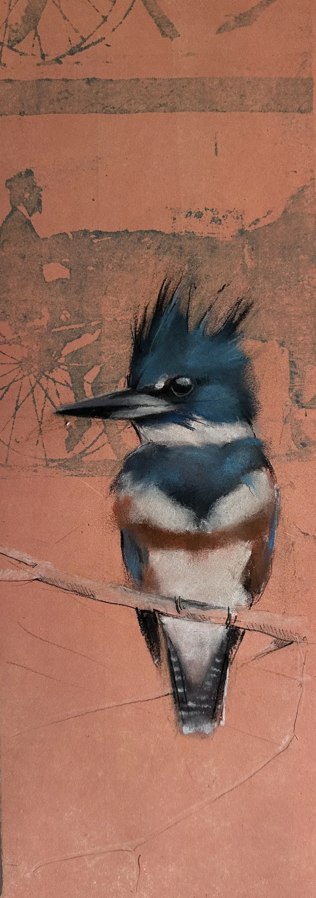 Kingfisher