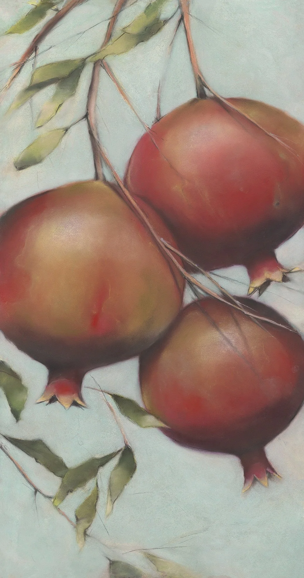 Pomegranate Tree