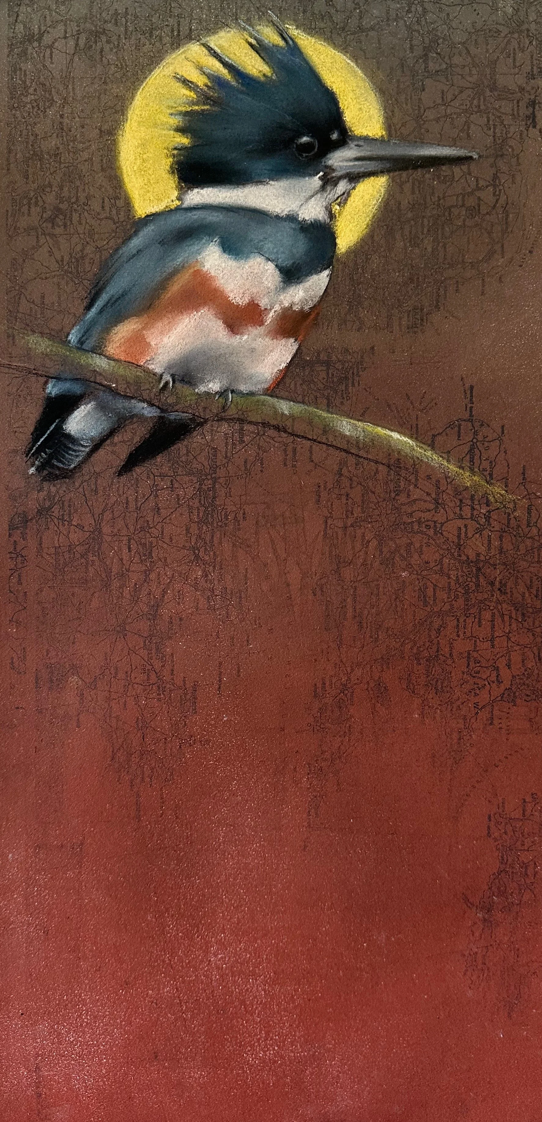 Holy Kingfisher