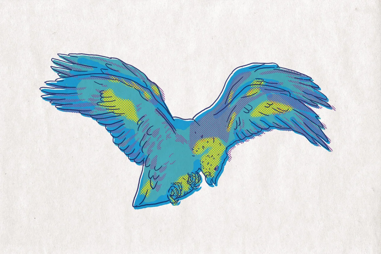 dyad_eagle1280.jpg