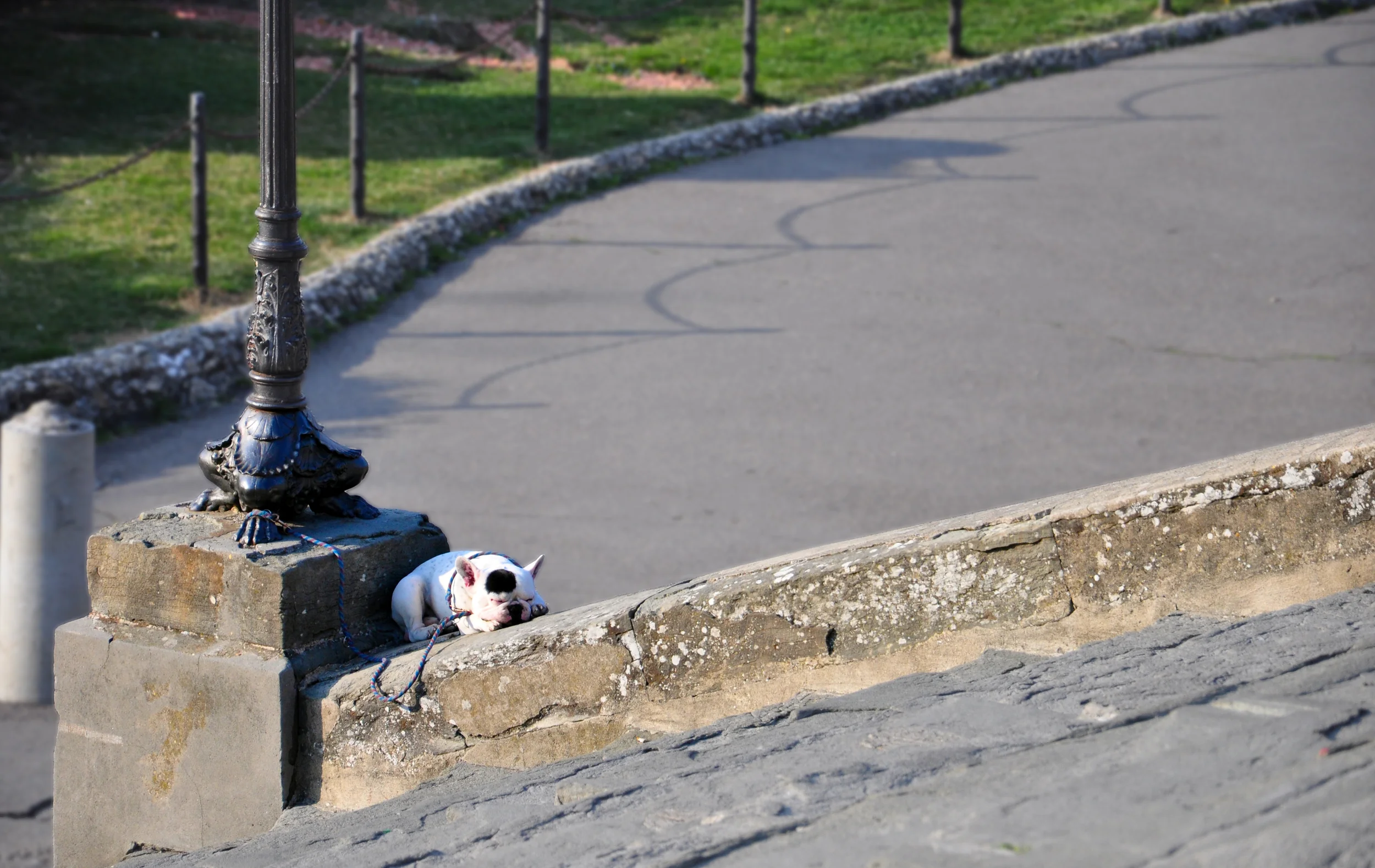 DSC_0104.jpg