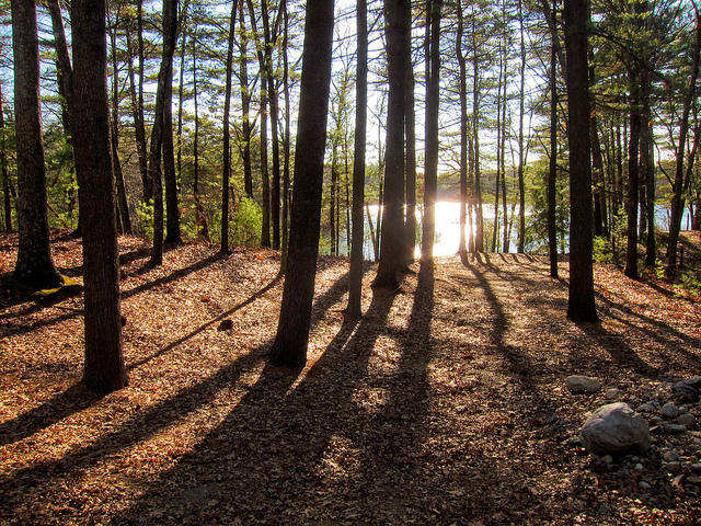 Why should a survival prepper care about meditation?