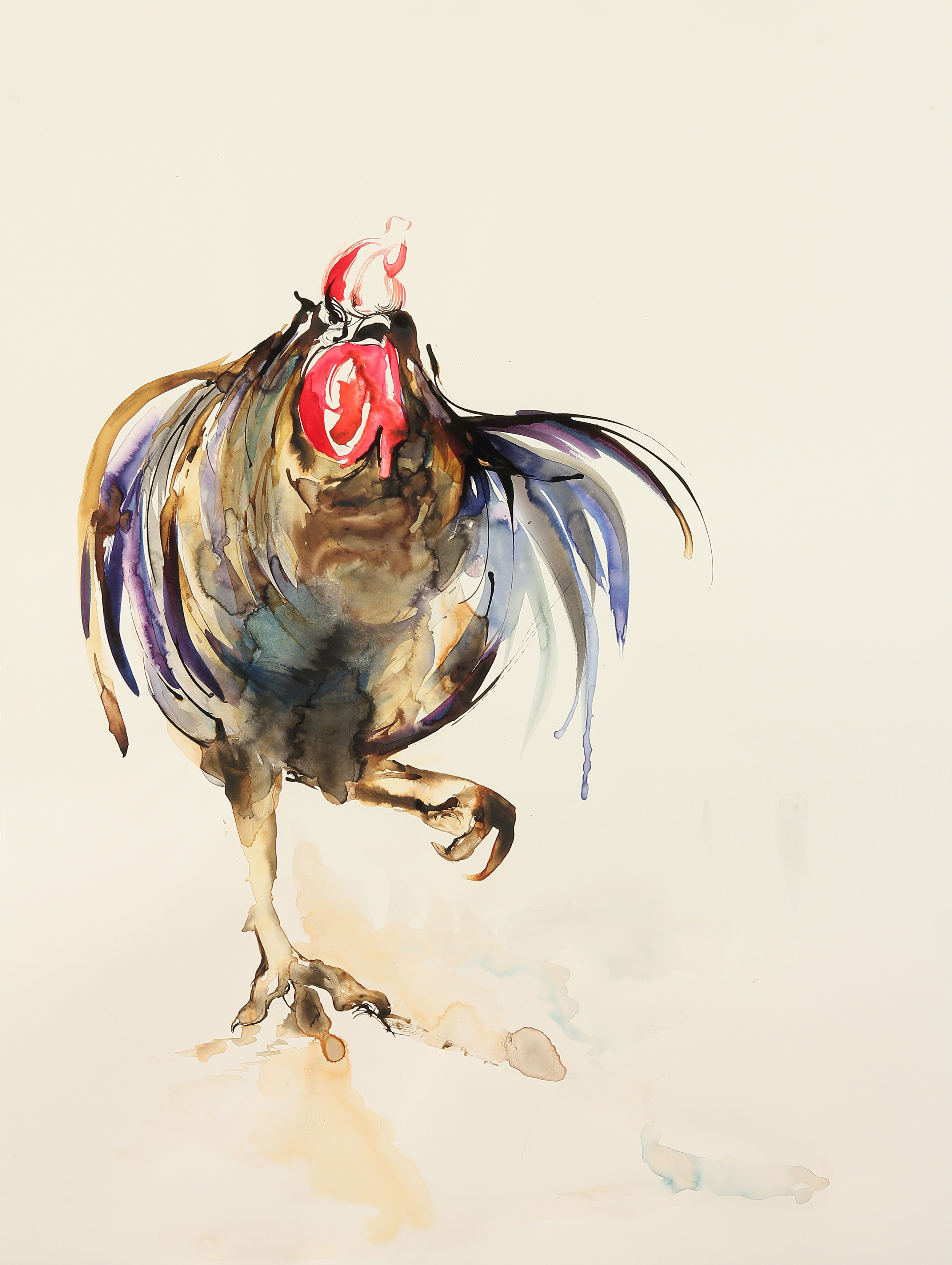 rooster5.jpg