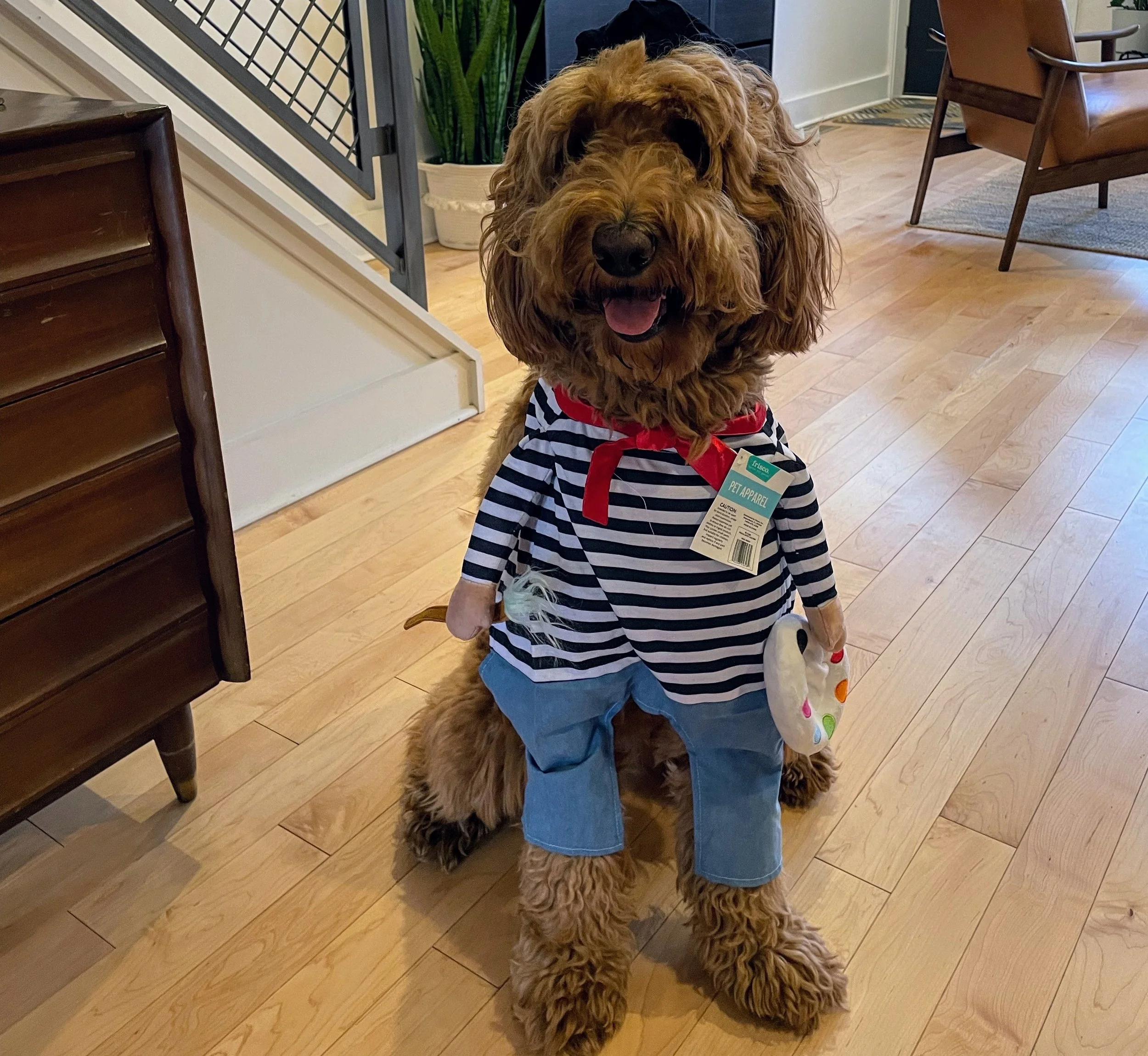 Quarantine Media Diet (2021)