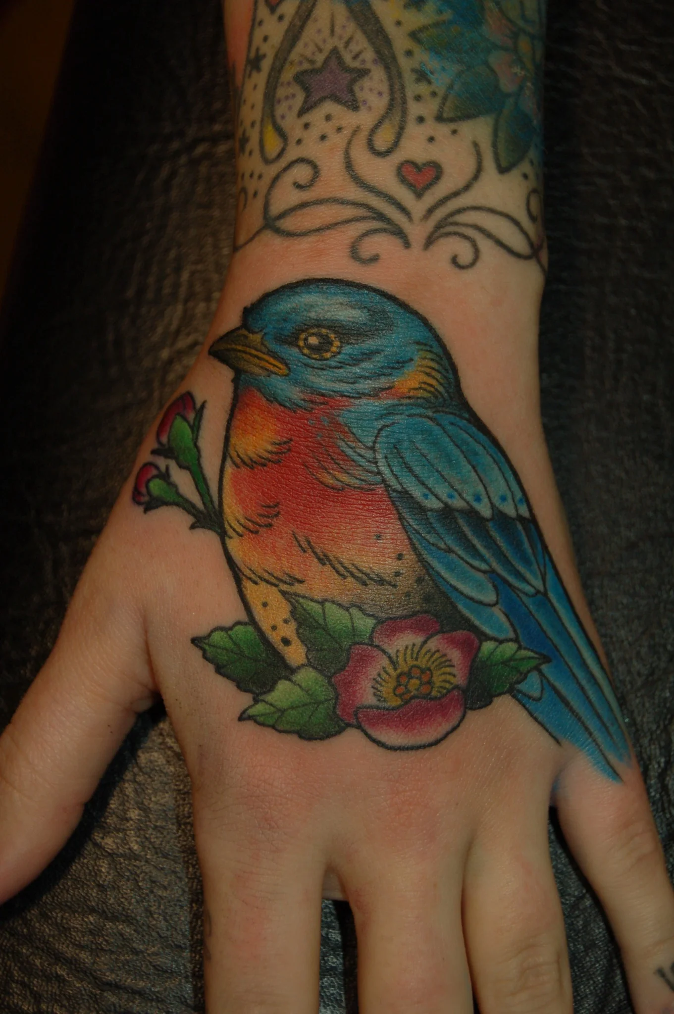 Bluebird_hand.JPG