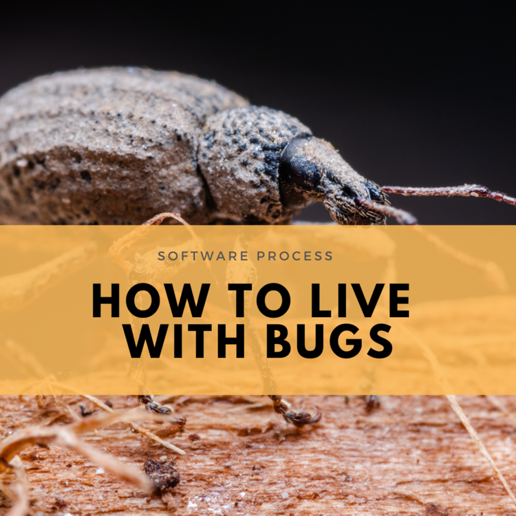 how to live with software bugs