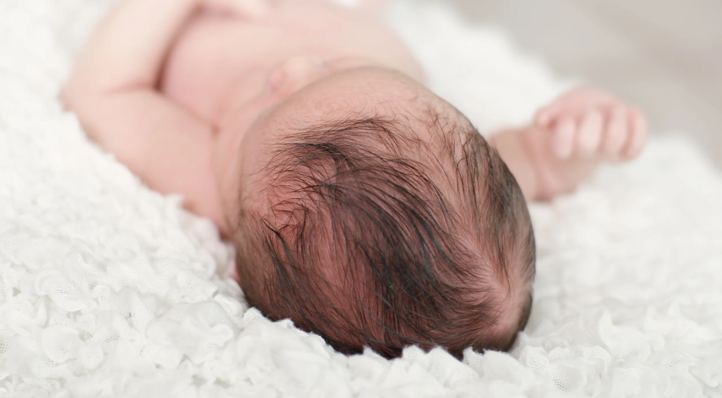 Ayden Newborn Portraits -2
