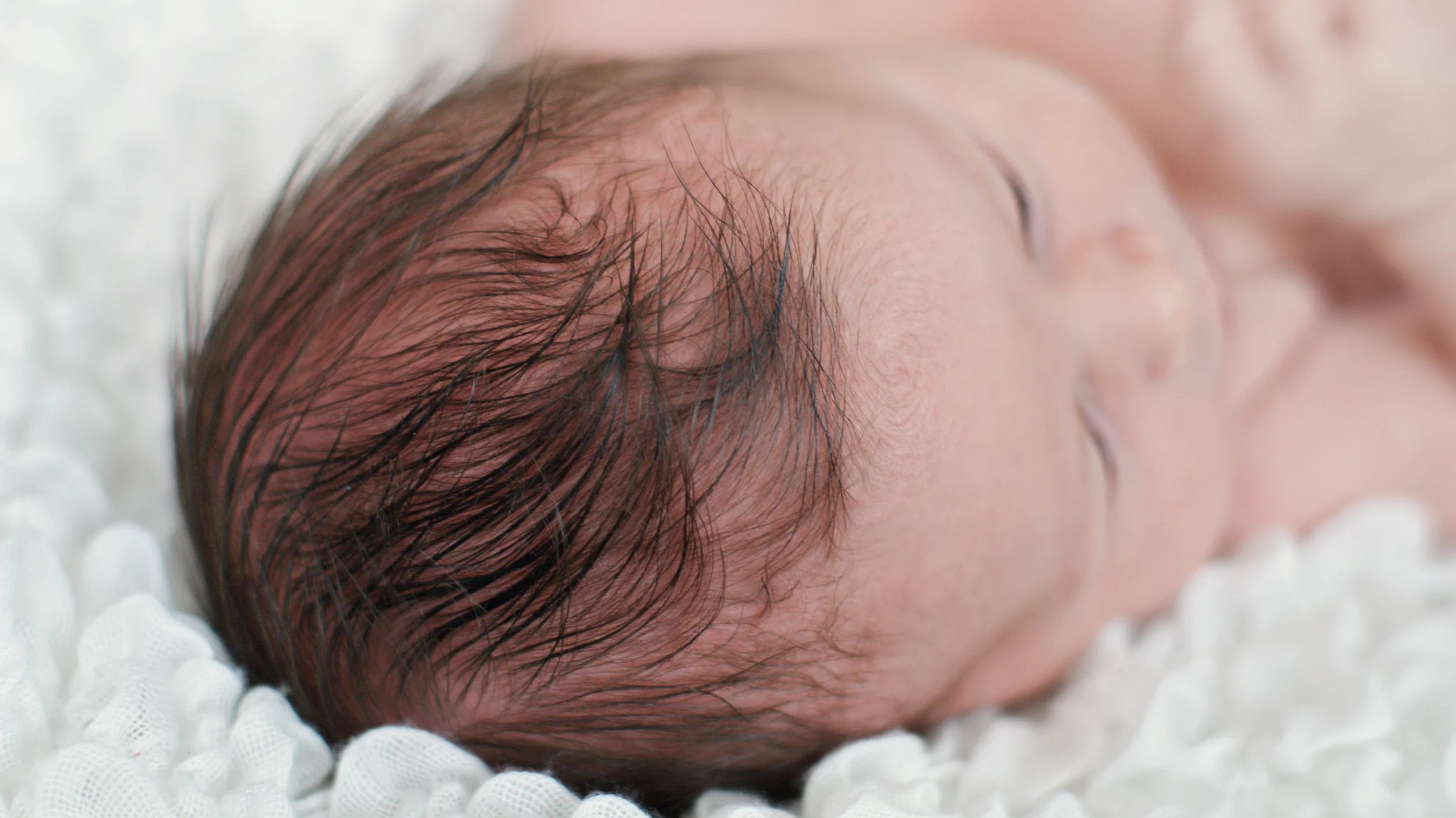 Ayden Newborn Portraits -3