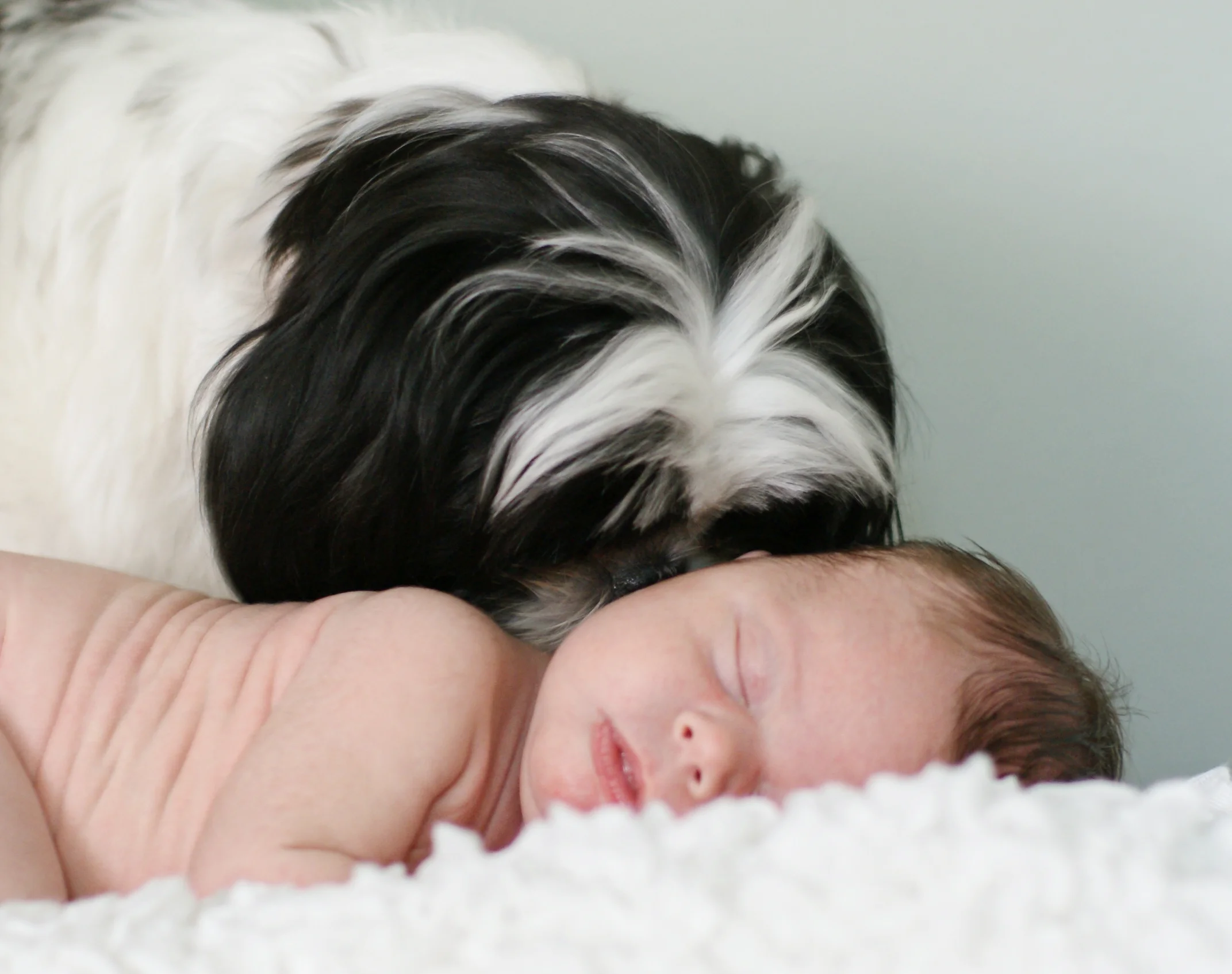 Ayden Newborn Portraits -12