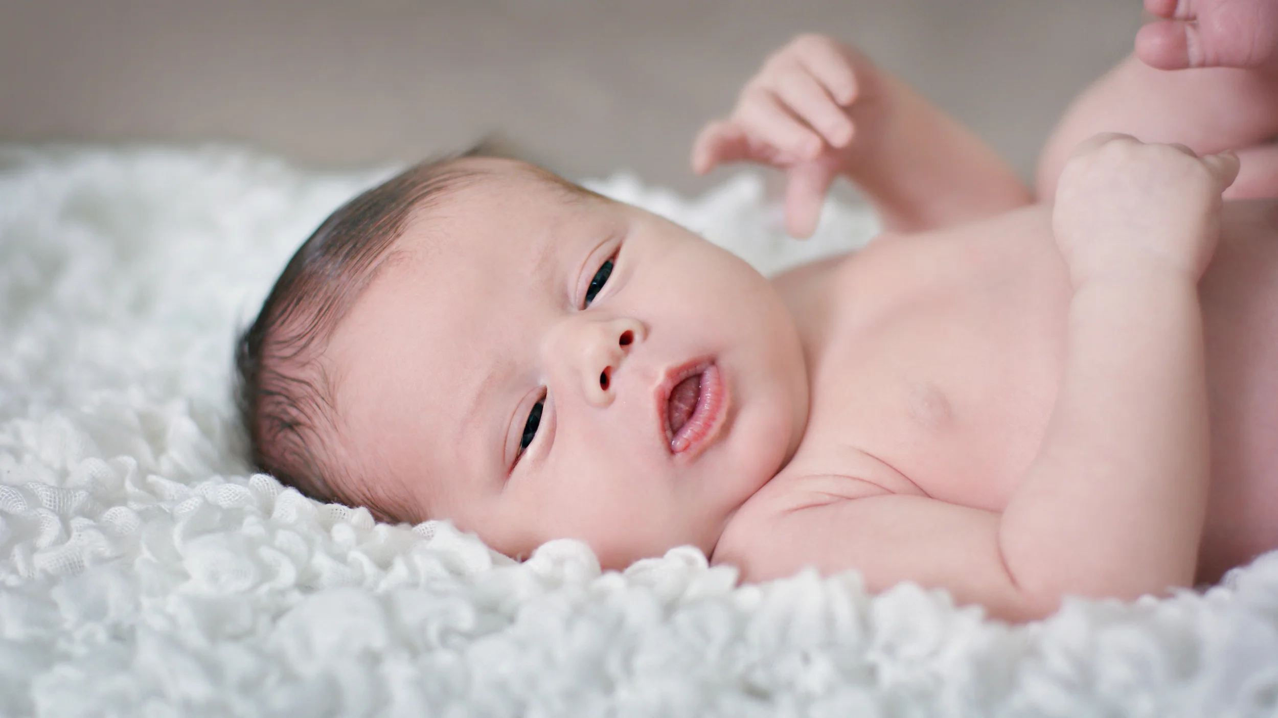 Ayden Newborn Portraits -18