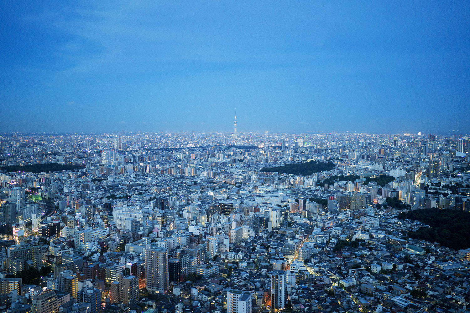 07-Japan-landscape-photographer-tokyo-cityscape.jpg