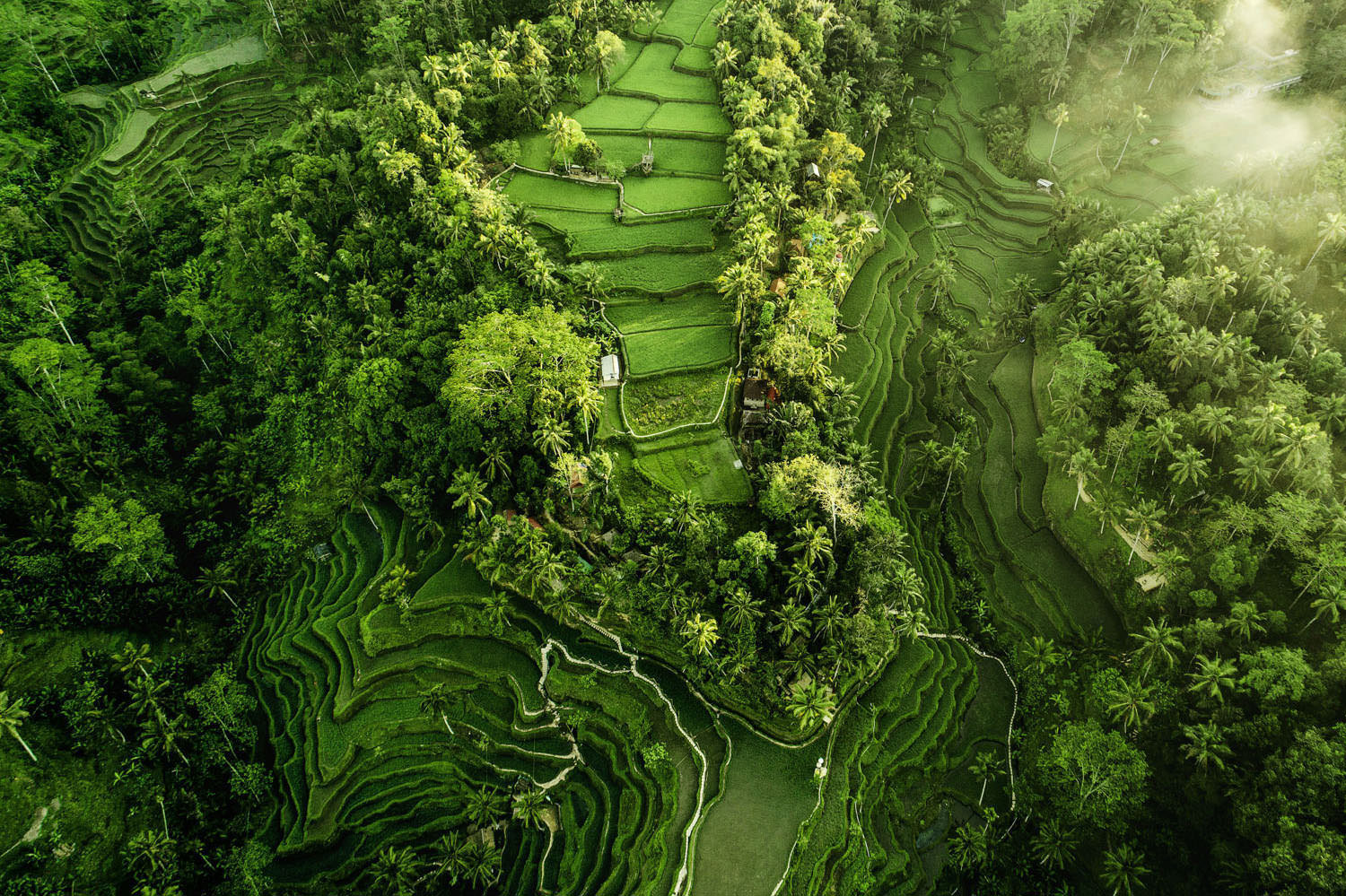 06-Indonesia-landscape-photographer-bali-aerial.jpg