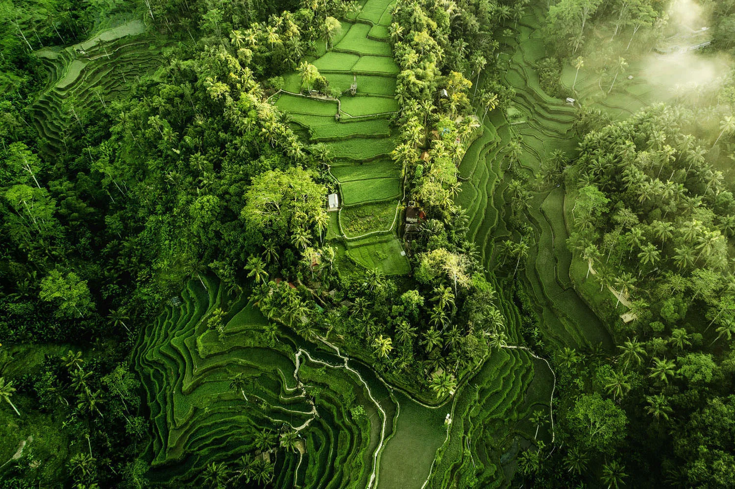 06-Indonesia-landscape-photographer-bali-aerial.jpg
