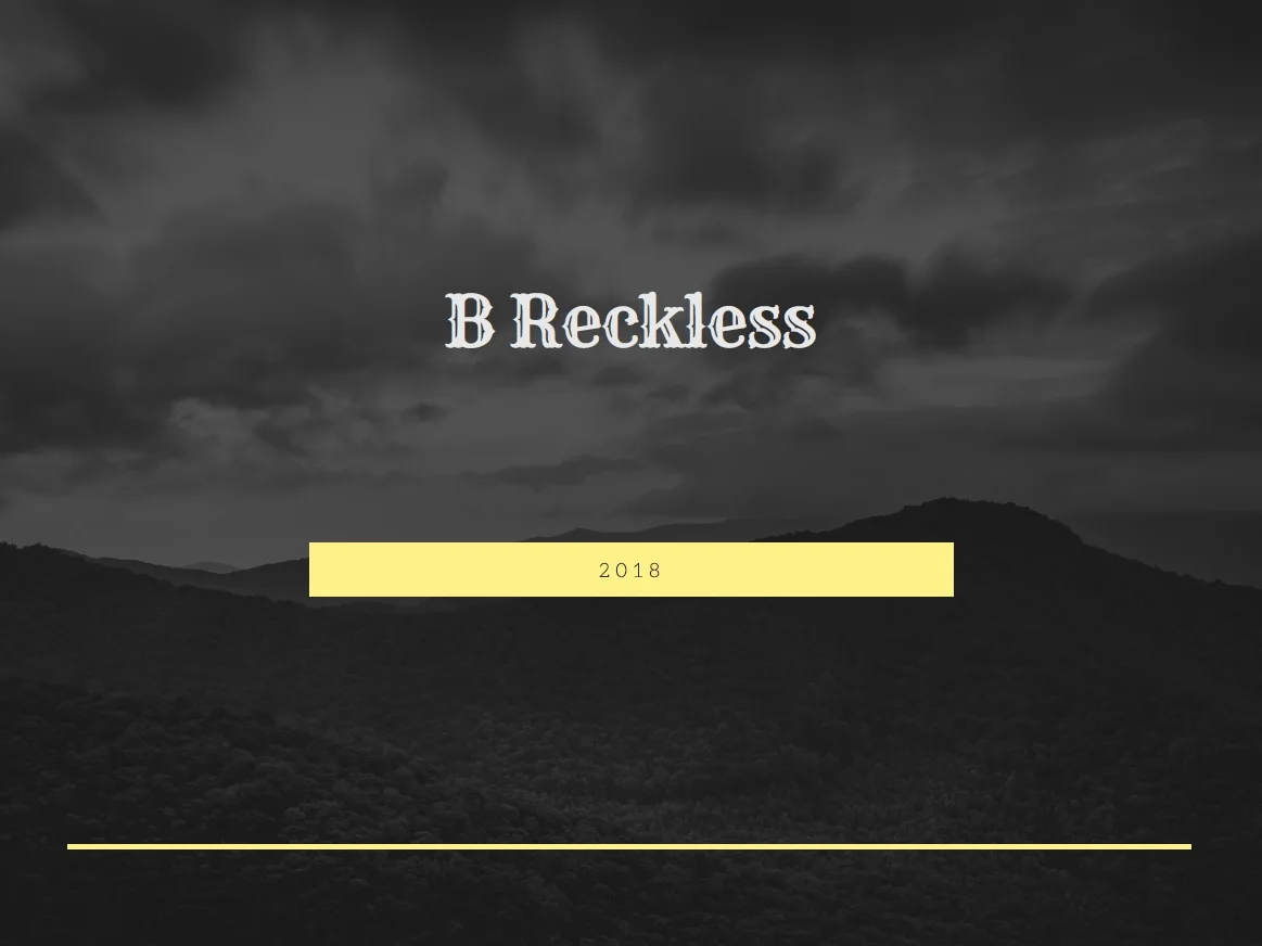 Reckless 1.jpg