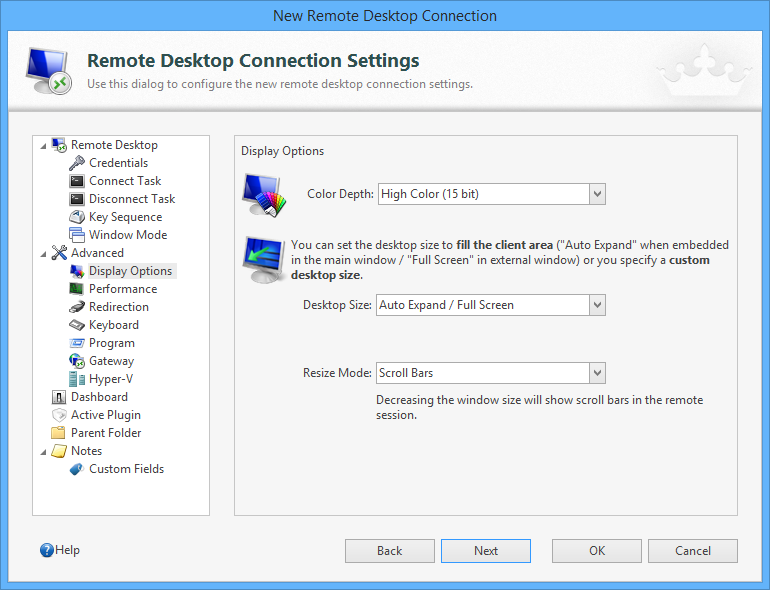 Reduce the Color Depth to 15 bit (using Royal TS)