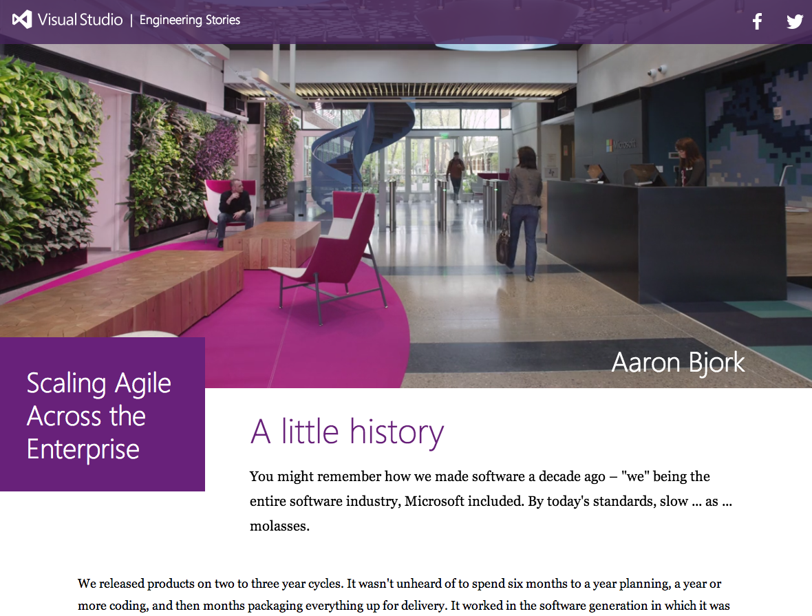 Screenshot taken from http://www.microsoft.com/visualstudio/stories/scaling-agile-across-the-enterprise/