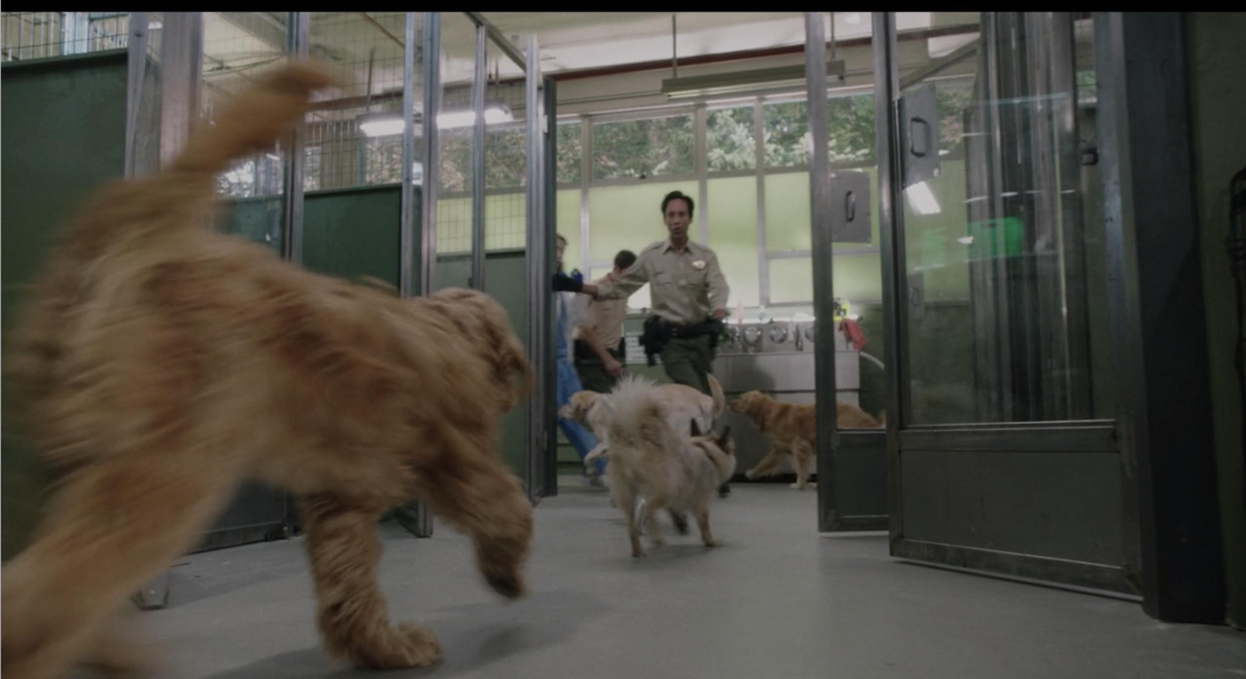 Screen Shot 2021-09-13 at 6.41.29 PM.png