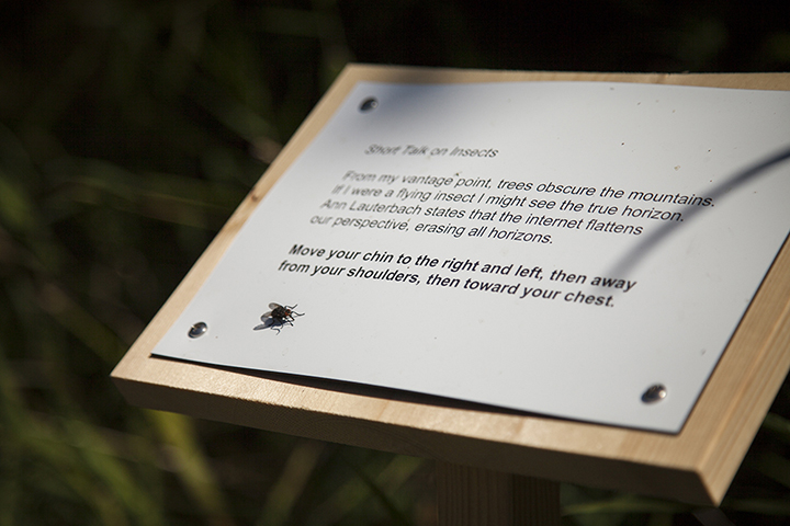 Short Talk on Insects Photograph by Melanie Masson