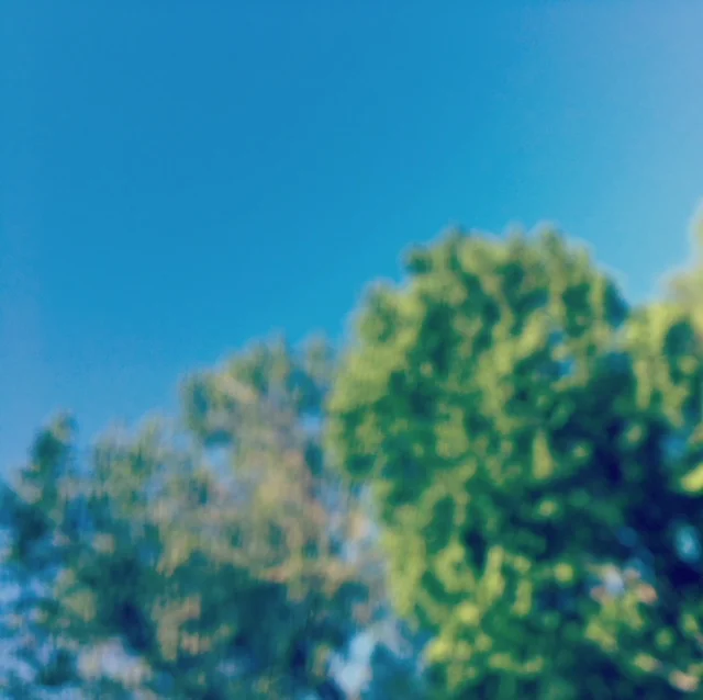 Tia Kramer_12actsforSoma.jpeg