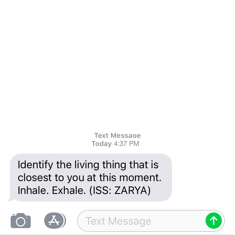 05 Text Message.jpg