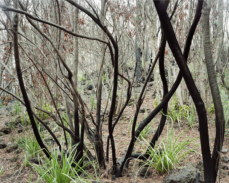  # 37 | Tenerife, Spain | © 