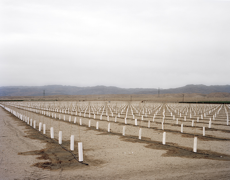  Coachella Valley, California | © 