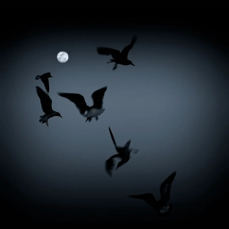 Super Moon