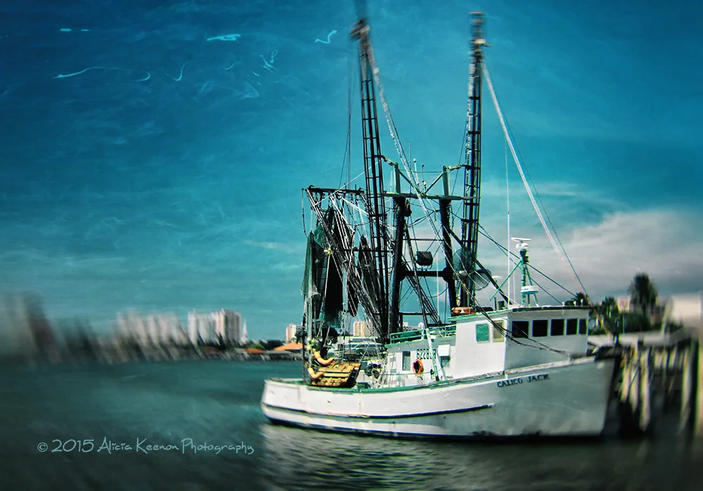 Calico Jack