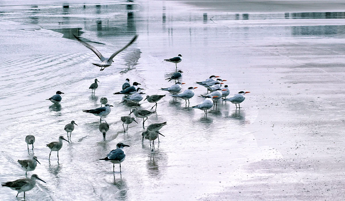 March Beach 02.jpg