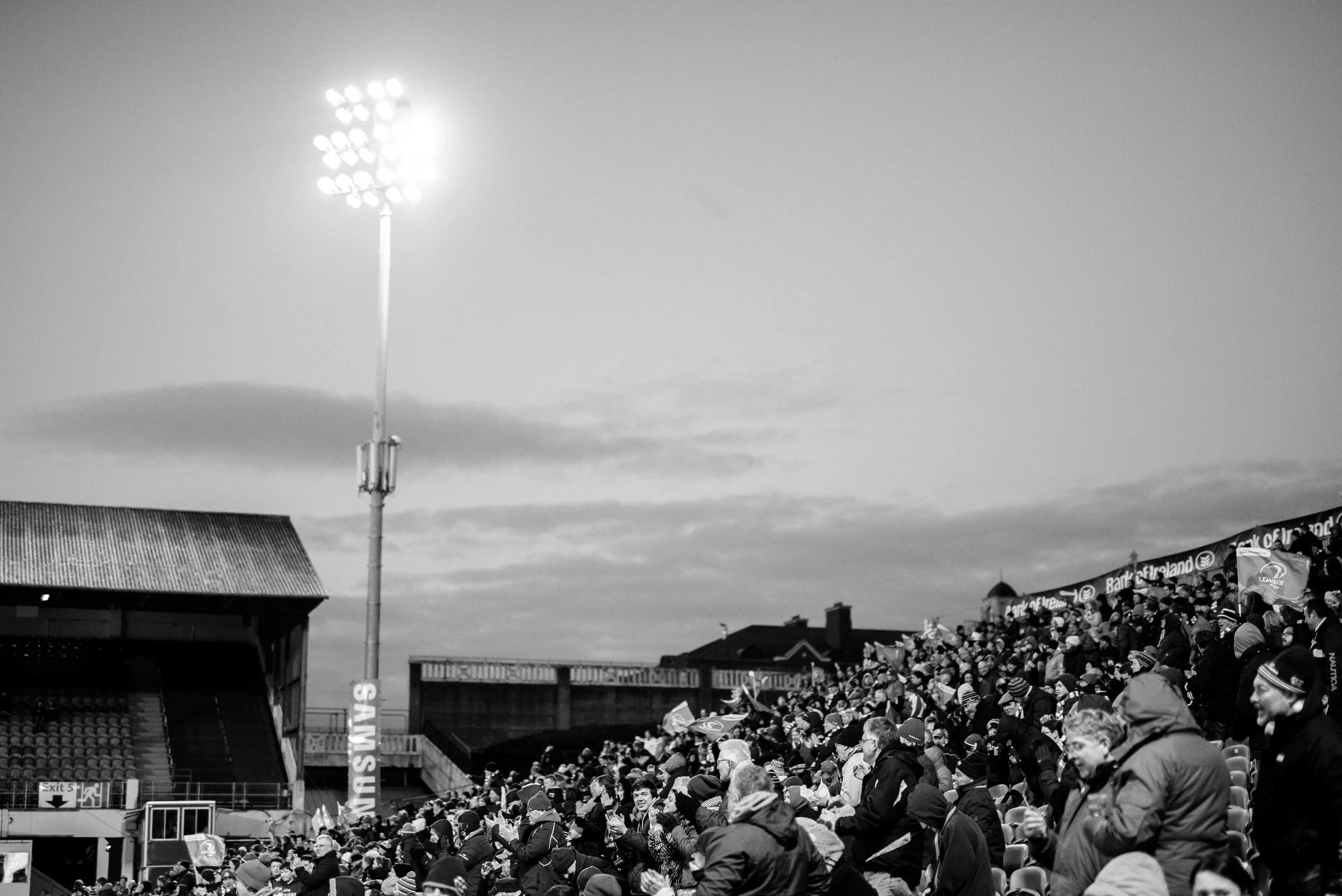 _DSC8555.jpg
