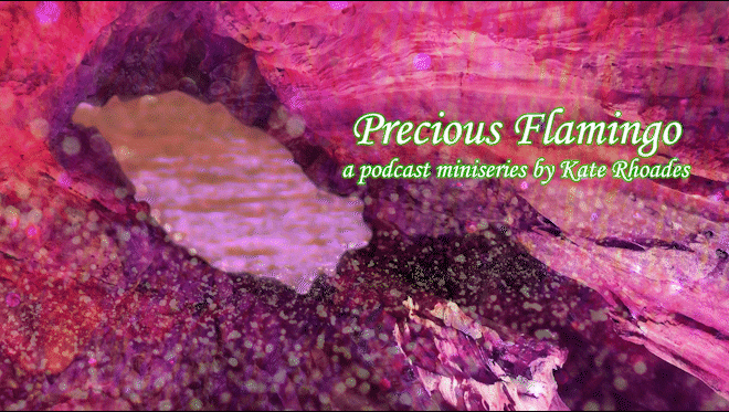 You can listen to every episode here: PreciousFlamingo.Space Precious Flamingo follows a hapless tour guide who accidentally goes into an alternate dimension populated by talking animals. The story centers on a flamingo dentist who is being persecuted by a maniacal parrot cult-leader. Other characters include a koala scientist, a pelican store keeper, and a riddling bear. Made in association with Tiny Bubbles , an exhibition at the San Francisco Arts Commission Gallery May 3rd - August 19th, 2017