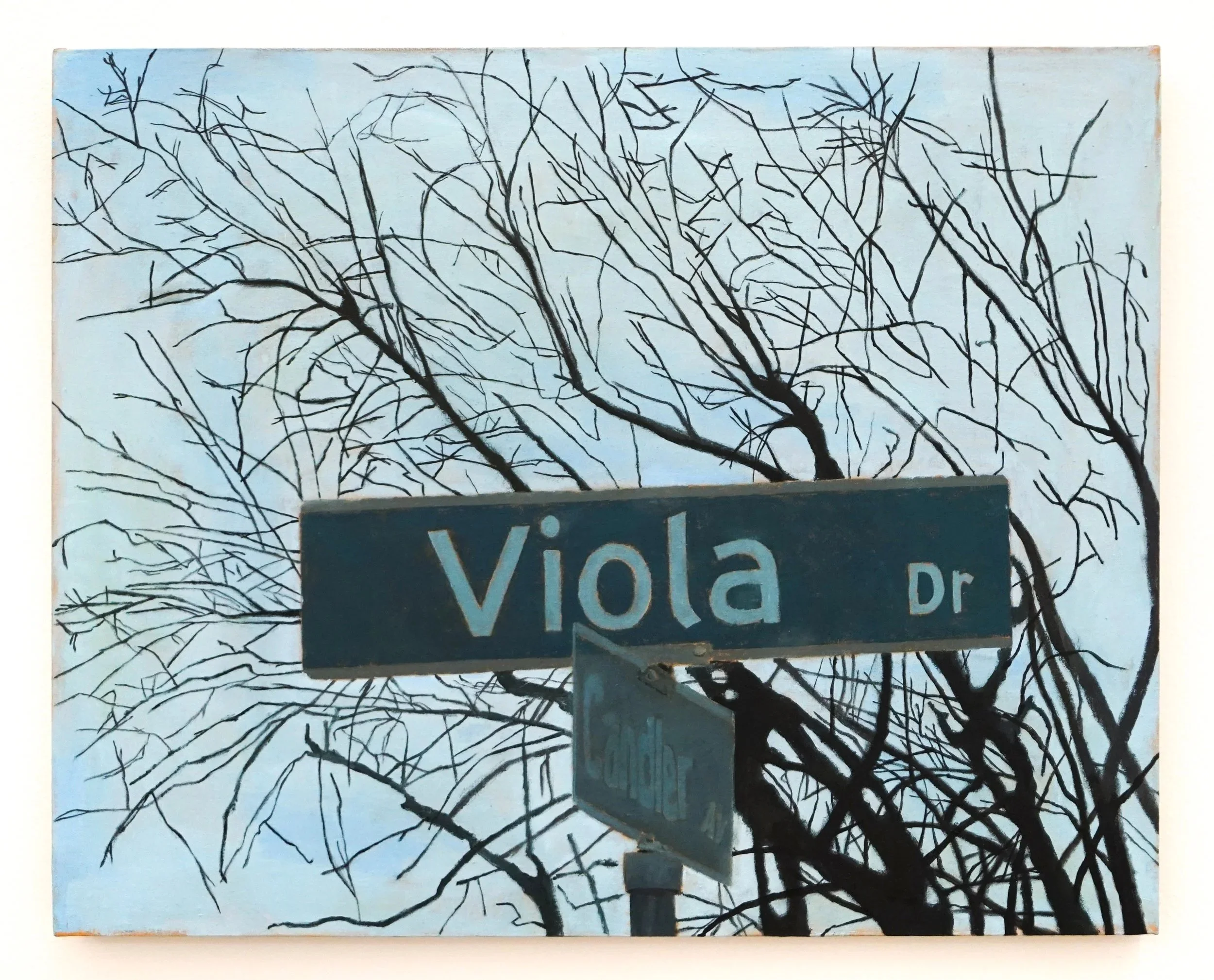 Viola.jpg