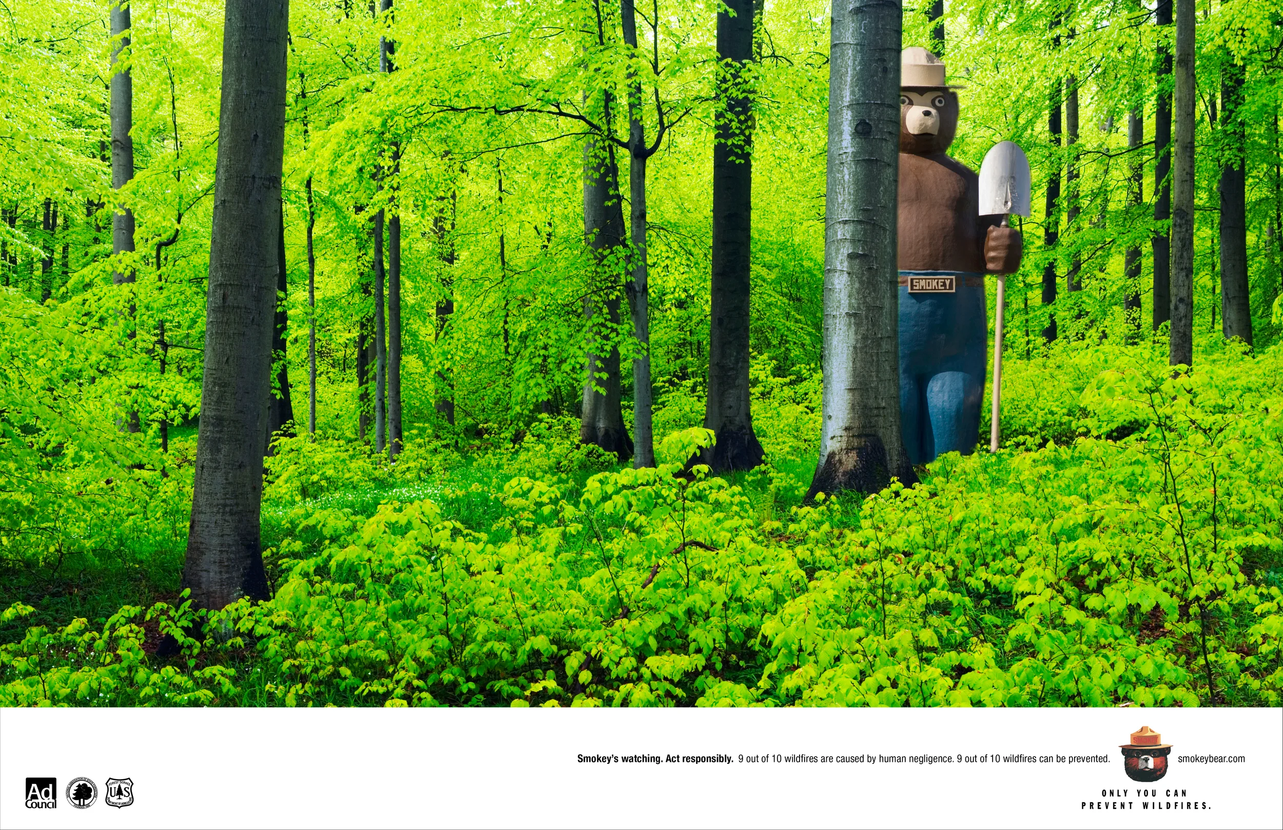 Smokey Forest ad.jpg