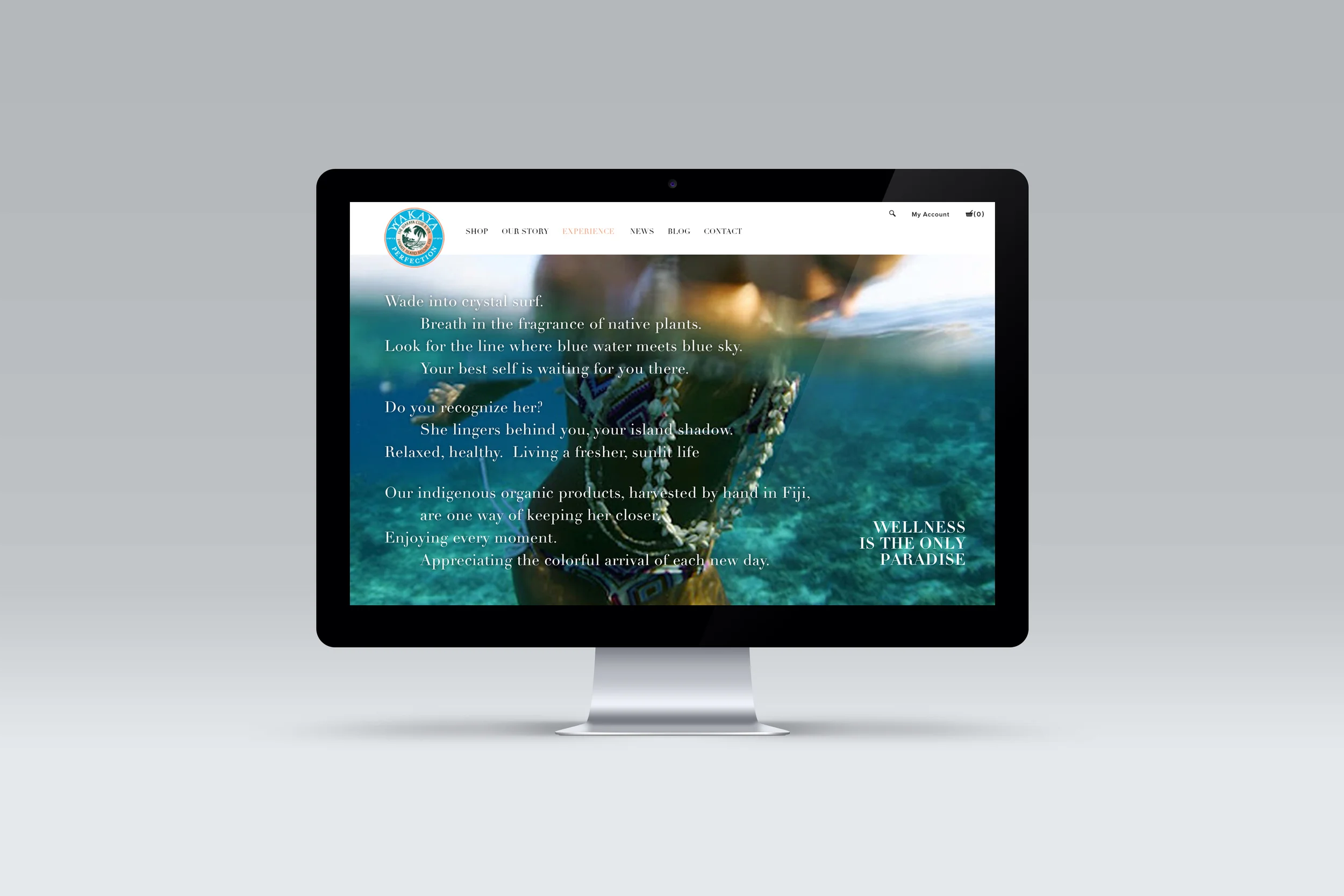 Wakaya iMac Mock-up EXPERIENCE.jpg