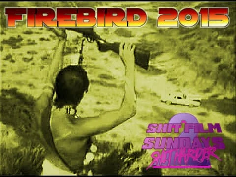 sfs firebird.jpg