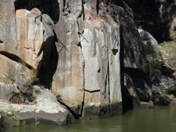 P1010411.jpg
