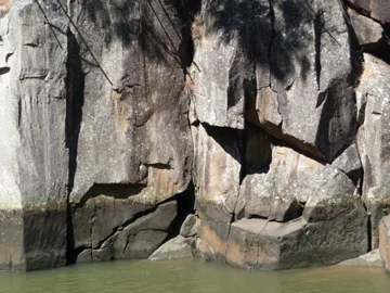 P1010450.jpg